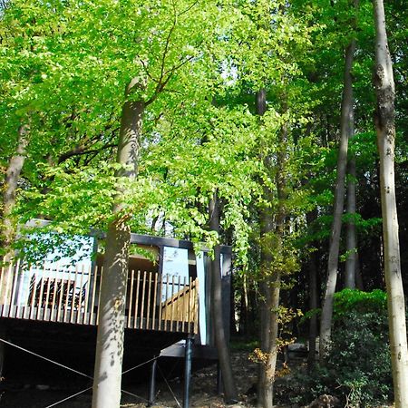 Gite Des Bois De スパ エクステリア 写真