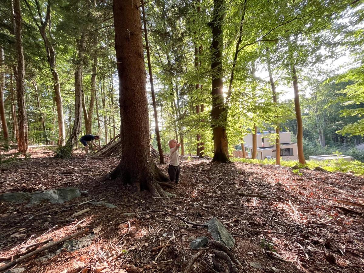 Gite Des Bois De スパ エクステリア 写真