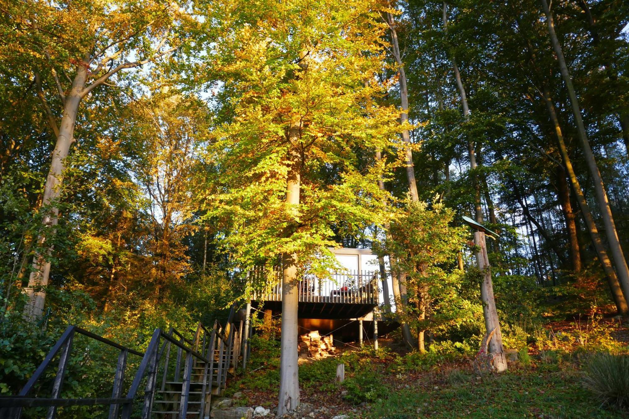 Gite Des Bois De スパ エクステリア 写真