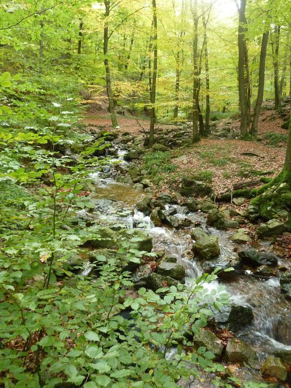 Gite Des Bois De スパ エクステリア 写真