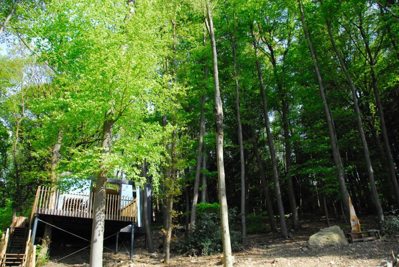 Gite Des Bois De スパ エクステリア 写真